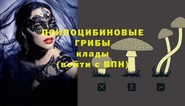 меф Арсеньев