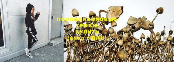 меф Арсеньев