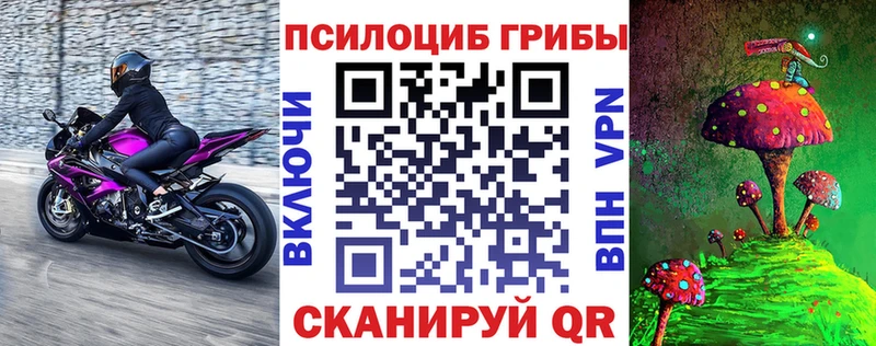 наркота  Серов  Псилоцибиновые грибы GOLDEN TEACHER 
